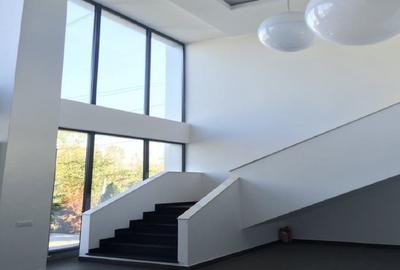 SPATIU COMERCIAL DE INCHIRIAT - 2