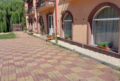 Casă cu 4 camere în Malu cu Flori - 8