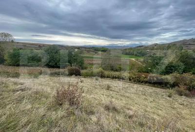 Teren de 2800 mp, în Drâmbar - 4