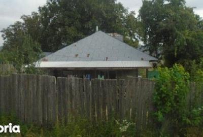 Casă cu 3 camere cu Teren 3487 Mp în Tănăsoaia - 8