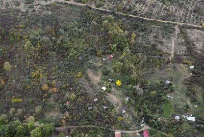 Teren 18,300mp Ghioroc - 13