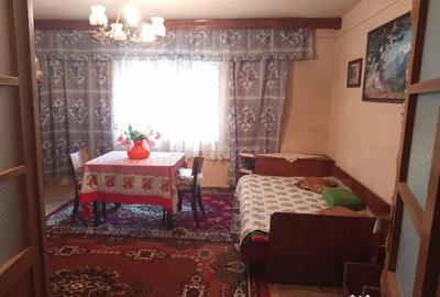Casă cu 14 camere cu Teren 1439 Mp în Brădișoru de Jos - 13