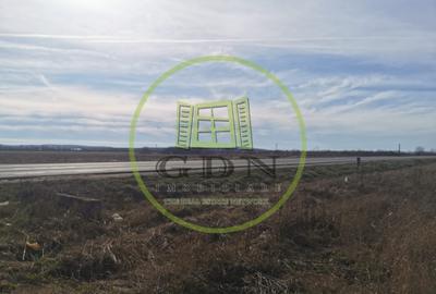 Teren agricol extravilan de 21496 mp, în Săcădat - 9