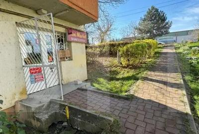 Spatiu Comercial Dorohoi - 1