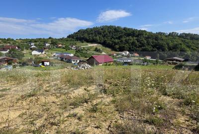 Teren extravilan, cu autorizatie de constructie casa, 875 mp - 11