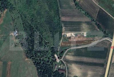 Teren extravilan 5996 mp, zona Valea Sasului - Teius - 1