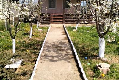 Casă cu 4 camere cu Teren 1035 Mp în Curtești - 7