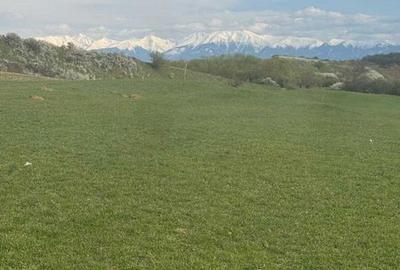 Teren de 500 mp, în Șelimbăr