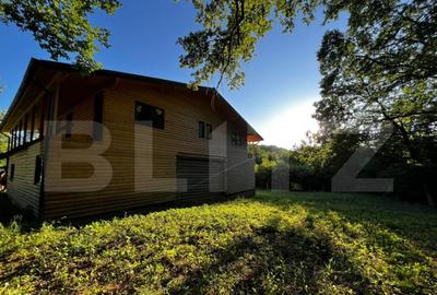 ????Cabana de Vis in Inima Naturii Investi?ia Perfect? - 27