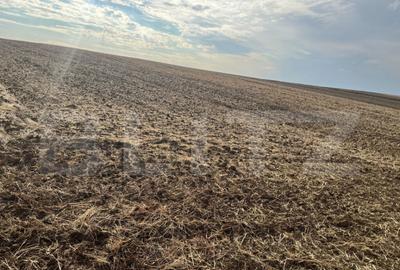 Teren de vanzare, 3.742 mp, zona Ghercesti - 1