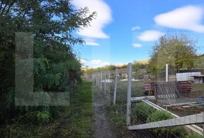 Teren de 6896 mp, în Borhanci - 6