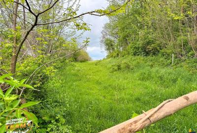 Spațiu comercial, în Păpăuți - 5