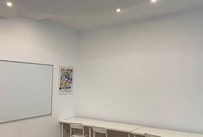 Vila de vanzare, 12 camere, zona Nord, Bacau - 8