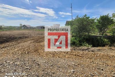 Teren de 1312 mp, în Coltău - 9