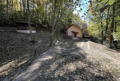 Casă cu 4 camere cu Teren 1292 Mp în Drăganu - 1