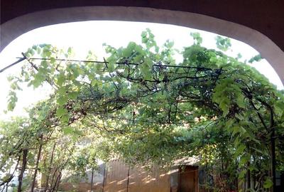 Casă cu 7 camere în Spini - 6