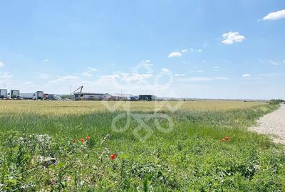 Teren intravilan 2 hectare zona Fan Courier - 1