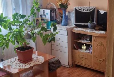 Apartament cu 2 camere semidecomandat în Broșteni - 1