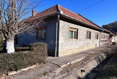 Bocsa Romana, Casa Solida din Caramida, 9 Incaperi si Garaj - 13