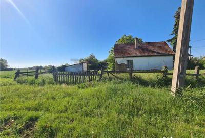 Casă cu 2 camere cu Teren 3462 Mp în Borș - 1
