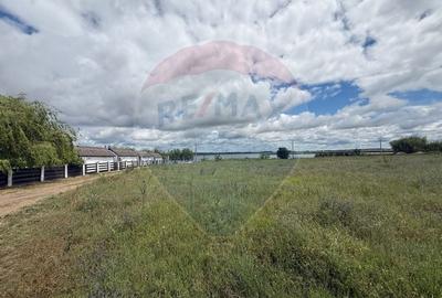 Teren intravilan de vânzare Pensiune Murighiol  Delta Dunării Tulcea - 4