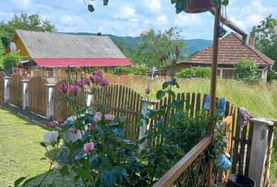 Casă cu Teren 4977 Mp în Ribița - 2