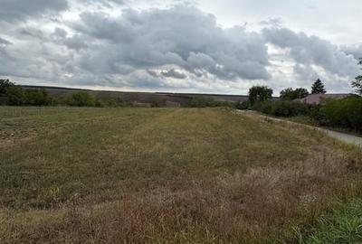 Teren în Pantelimon - 1