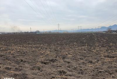 Spațiu comercial, în Central - 2