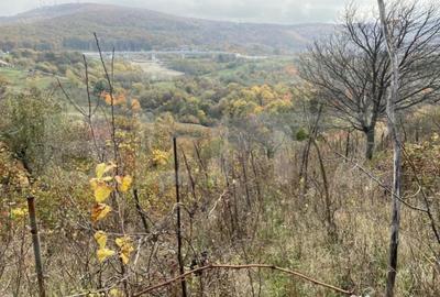 Teren de 787 mp, în Central - 1