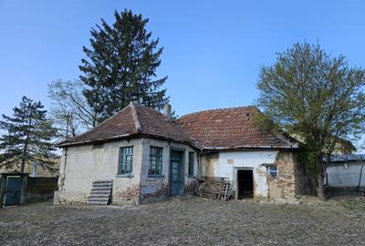 Casă cu 2 camere în Chioag - 6