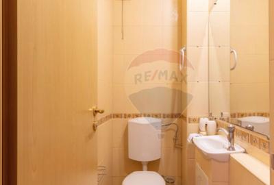 Apartament cu 3 camere decomandat în Grigorescu - 3