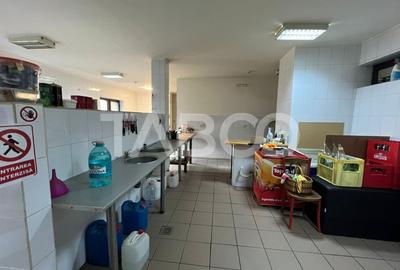 Pensiune moderna de vanzare la cheie in Vistisoara cu 1800 mp de teren - 84