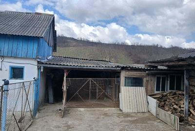 Casă cu Teren 1200 Mp în Central - 4
