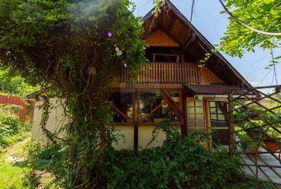 Casa cu 5 dormitoare, foisor, sauna, beci,pod garaj si gradina - 9