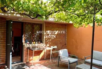 Cartierul Domenii - 1 Mai - Vanzare Vila -  rezidenta , birouri , clinica ! - 12