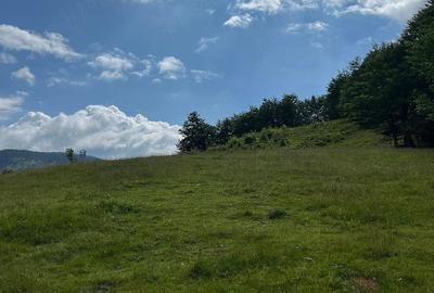 Teren de 15000 mp, în Bubești - 2