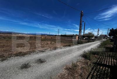 Teren Prelungirea Panduri - 4