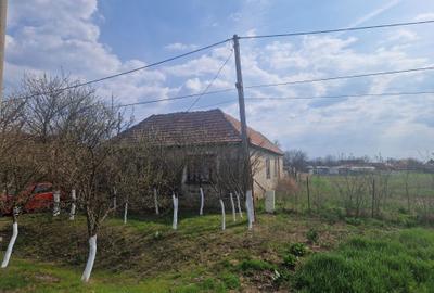 Casă cu 4 camere în Central - 2