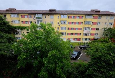 Apartament cu 2 camere decomandat, mobilat în Precista - 19