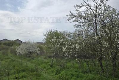 Teren de 2325 mp, în Joița