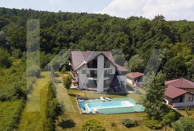 Vila exclusivista cu piscina si panorama de vis Cisnadioara