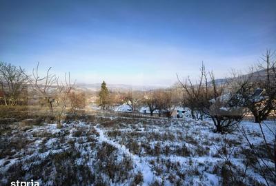 Casă cu 5 camere cu Teren 4000 Mp în Răducăneni - 2