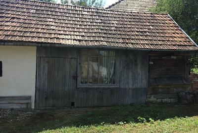 Casă cu Teren 6500 Mp în Dretea - 9