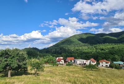 Parcele Teren cu PUZ si toate utilitatile / Cisnadioara-Sibiu - 6
