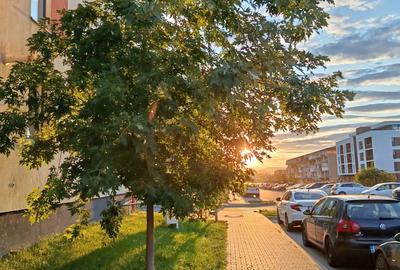 Vand apartament floresti - 13