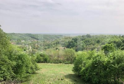 Teren intravilan, parcelat 7600+5700+1400, Manastirea Dealu - 6