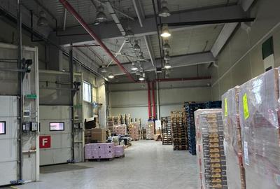 Spațiu industrial, în Theodor Pallady - 3