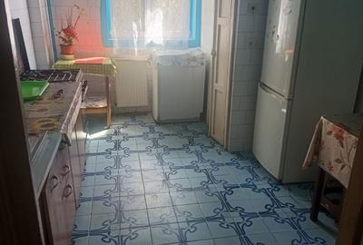 Apartament cu 2 camere decomandat în Calea Aradului - 5