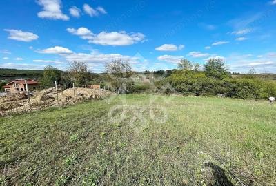 Teren intravilan 5995 mp de vanzare in Hidiselu de Sus - 5