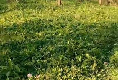 Spațiu comercial, în Central - 2